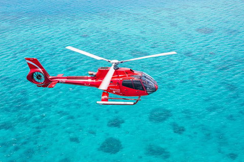 Cruise To Moore Reef Pontoon And Return Helicopter Flight From Cairns - Restaurant Guide 1