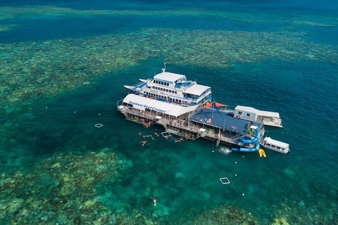 Cruise To Moore Reef Pontoon And Return Helicopter Flight From Cairns - Restaurant Guide 2
