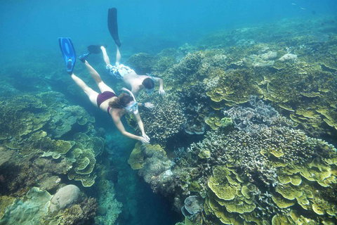 Cruise To Moore Reef Pontoon And Return Helicopter Flight From Cairns - Restaurant Guide 3