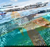 Scenic Helicopter Flight to Moore Reef and Return Snorkeling Cruise from Cairns - Restaurant Guide