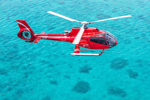 Port Douglas Scenic Flights - Restaurant Guide 2