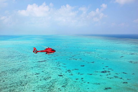 Ultimate Great Barrier Reef And Rainforest 45-minute Helicopter Tour - Restaurant Guide 2