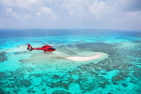 Ultimate Great Barrier Reef And Rainforest 45-minute Helicopter Tour - Restaurant Guide 3