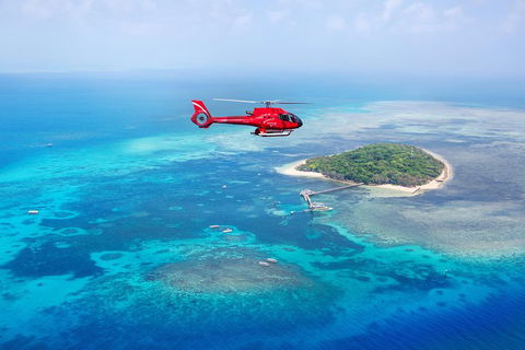 Ultimate Great Barrier Reef And Rainforest 45-minute Helicopter Tour - Restaurant Guide 4