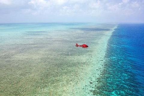 Ultimate Great Barrier Reef And Rainforest 45-minute Helicopter Tour - Restaurant Guide 5