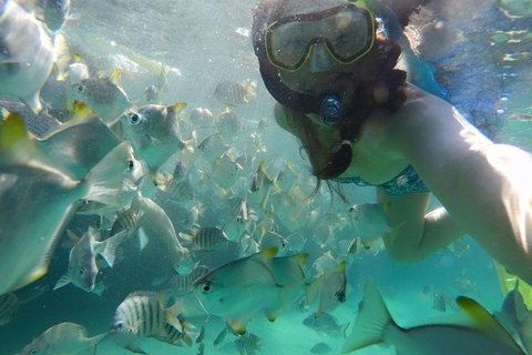 2-Day Moreton Island 4WD Camping Tour From Brisbane - Restaurant Guide 0