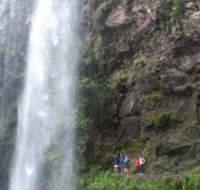 Springbrook National Park Discovery Full-Day Bushwalking Tour - Restaurant Guide