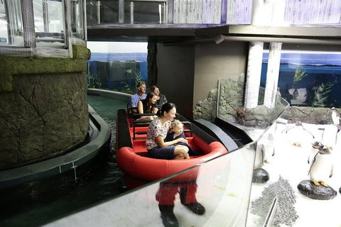 Sydney Attractions Pass: SEA LIFE Aquarium, Sydney Tower Eye, WILD LIFE Zoo And Madame Tussauds - Restaurant Guide 0