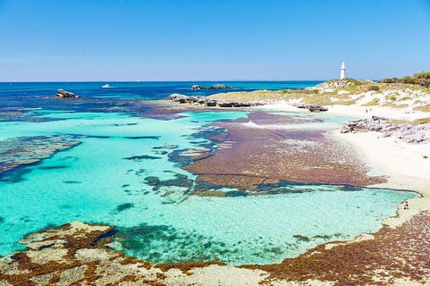 Fremantle To Rottnest Island Roundtrip Ferry Ticket - Restaurant Guide 2