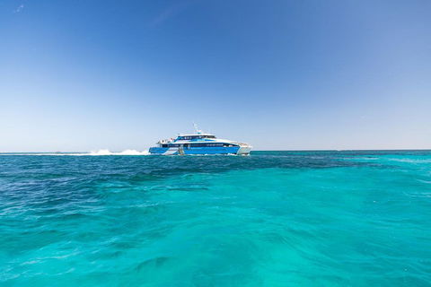 Rottnest Island Bike & Ferry Package From Fremantle - Restaurant Guide 0