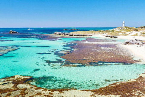 Rottnest Island Bike, Snorkel & Ferry Package From Perth - Restaurant Guide 5