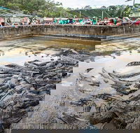 Hartley's Crocodile Adventures Day Trip from Palm Cove - Restaurant Guide