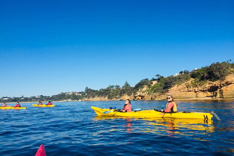 Mornington Peninsula Kayak Coastline Tour Of Dolphin Sanctuary - Restaurant Guide 1