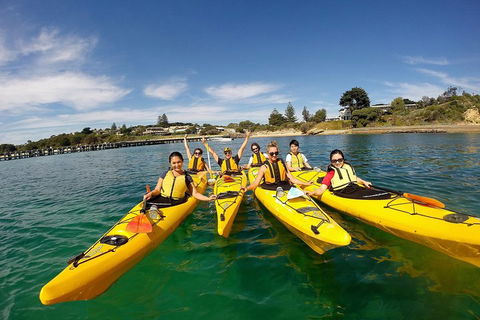 Mornington Peninsula Kayak Coastline Tour Of Dolphin Sanctuary - Restaurant Guide 2