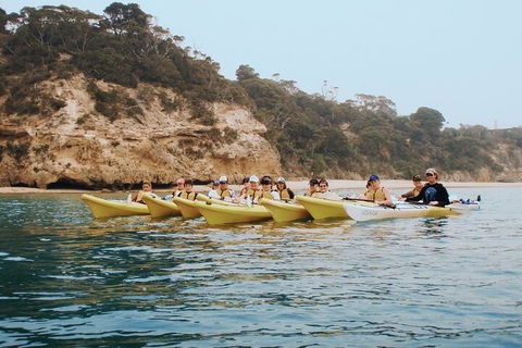 Mornington Peninsula Kayak Coastline Tour Of Dolphin Sanctuary - Restaurant Guide 4