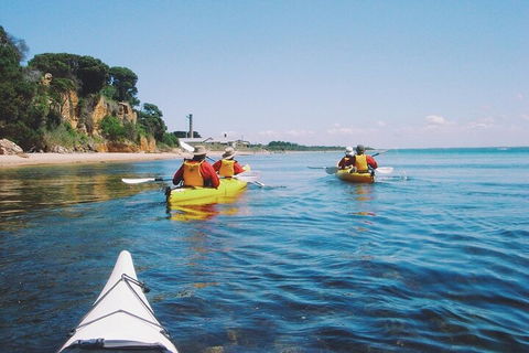 Mornington Peninsula Kayak Coastline Tour Of Dolphin Sanctuary - Restaurant Guide 5