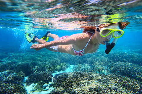 Abrolhos Islands Scenic Flight & Snorkel Adventure From Perth - Restaurant Guide 1
