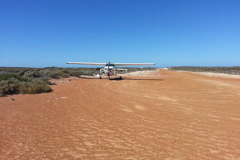 Abrolhos Islands Scenic Flight & Snorkel Adventure From Perth - Restaurant Guide 3