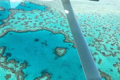 Whitsunday Islands 1-Hour Reef Scenic Helicopter Tour - Restaurant Guide 3