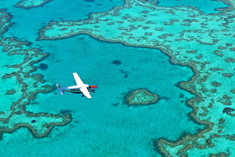 Reef And Island Scenic Flight From Airlie Beach - Restaurant Guide 4