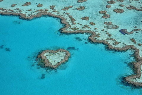 Reef And Island Scenic Flight From Airlie Beach - Restaurant Guide 5