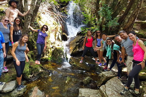 7-Day Super Value Tour Of Tasmania: Explore Tasmania's West And East Coasts - Restaurant Guide 2