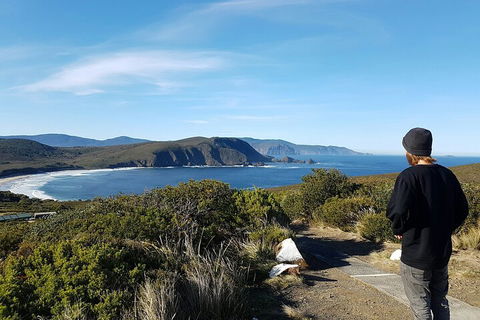 4-Day Fabulous Tasmania Tour: Wineglass Bay, Port Arthur, Devils & Bruny Island - Restaurant Guide 0