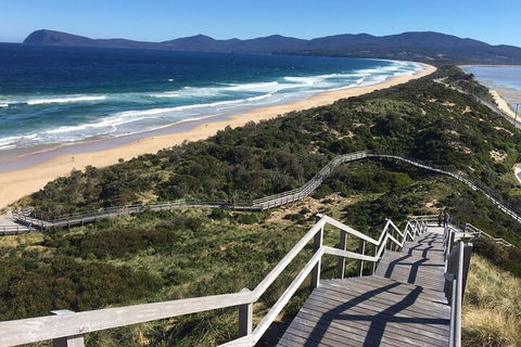 4-Day Fabulous Tasmania Tour: Wineglass Bay, Port Arthur, Devils & Bruny Island - Restaurant Guide 5