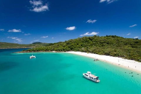 Whitehaven Beach And Hill Inlet | Awesome Beach BBQ | Family Friendly - Restaurant Guide 3