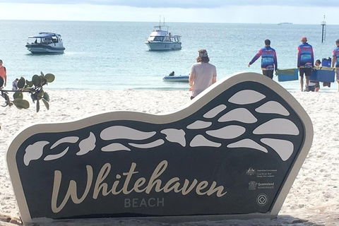 Whitehaven Beach And Hill Inlet | Awesome Beach BBQ | Family Friendly - Restaurant Guide 5