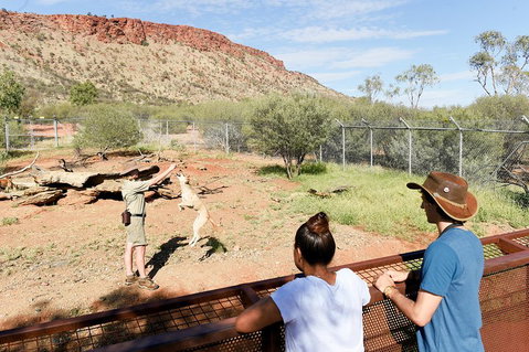 Alice Springs Desert Park General Entry Ticket - Restaurant Guide 4