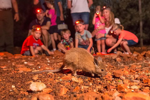 Alice Springs Desert Park Nocturnal Tour - Restaurant Guide 1
