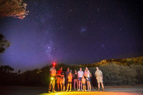 Alice Springs Desert Park Nocturnal Tour - Restaurant Guide 2