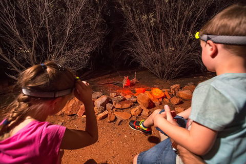 Alice Springs Desert Park Nocturnal Tour - Restaurant Guide 4