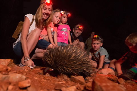 Alice Springs Desert Park Nocturnal Tour - Restaurant Guide 5