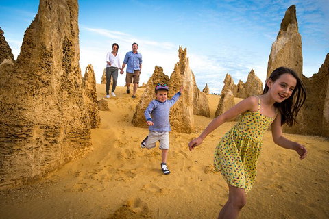 Full-Day Pinnacles Desert And Yanchep National Park Tour From Perth - Restaurant Guide 0
