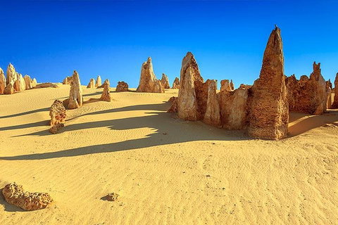 Full-Day Pinnacles Desert And Yanchep National Park Tour From Perth - Restaurant Guide 2