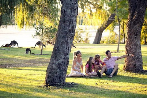 Full-Day Pinnacles Desert And Yanchep National Park Tour From Perth - Restaurant Guide 3