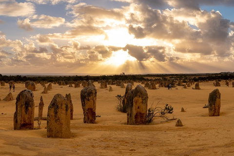 Half Day Pinnacles Sunset Tour - Restaurant Guide 0