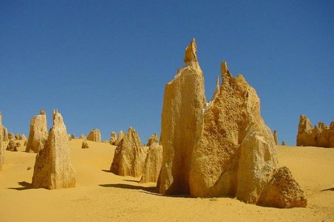 Half Day Pinnacles Sunset Tour - Restaurant Guide 2