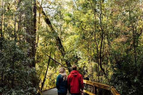 Gordon River Cruise Departing From Strahan - Restaurant Guide 2