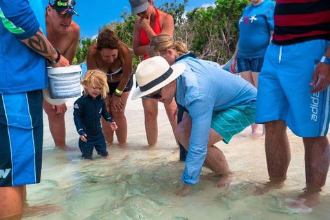 Whitehaven Beach And Hamilton Island Cruise - Restaurant Guide 1