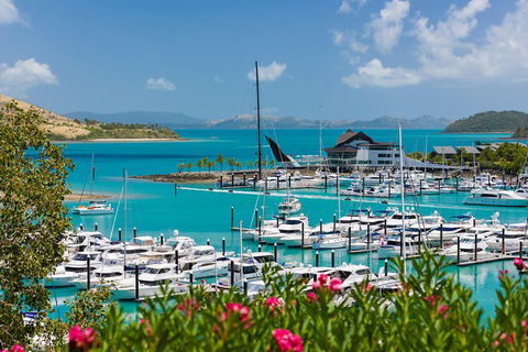 Whitehaven Beach And Hamilton Island Cruise - Restaurant Guide 3