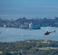 30-Minute Sydney Harbour and Olympic Park Helicopter Tour - Restaurant Guide