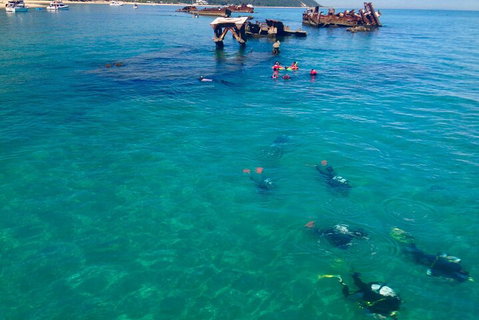 Adventure Moreton Island Scuba Dive Tour - Restaurant Guide 0