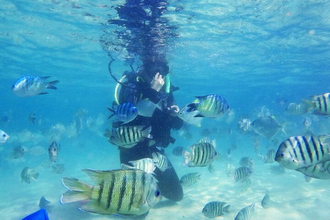 Adventure Moreton Island Scuba Dive Tour - Restaurant Guide 1