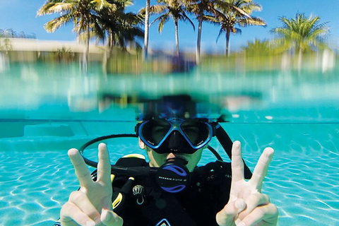 Adventure Moreton Island Scuba Dive Tour - Restaurant Guide 2