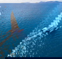 2-Night Whitsunday Islands Sailing Adventure on Trimaran Avatar - Restaurant Guide