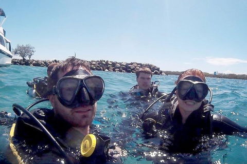 Wave Break Island Scuba Diving On The Gold Coast - Restaurant Guide 0