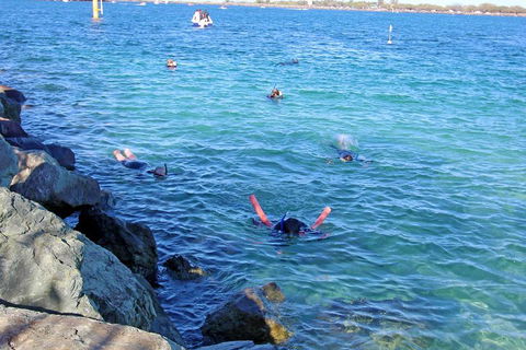 Wave Break Island Scuba Diving On The Gold Coast - Restaurant Guide 1